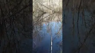 Первая весенняя рыбалка на открытой воде! #Shorts
