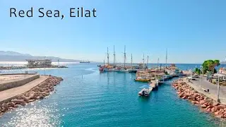 Eilat Today. A resort city on the shores of the Red Sea.