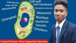 Biology Important Questions | Biology Gk | Science Gk | General Science | Science Tricks l