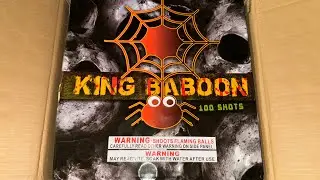 King Baboon 100 Shot Firework 👑🕷️🕸️
