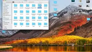 loading camera raw presets