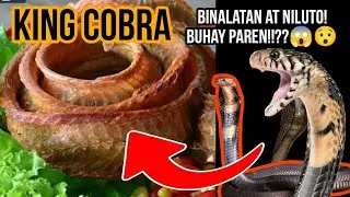 King Cobra!! Binalatan!,Niluto! Buhay Paren!!!??