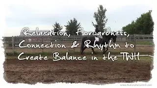 Relaxation, Forwardness, Connection & Rhythm to Balance in the TWH
