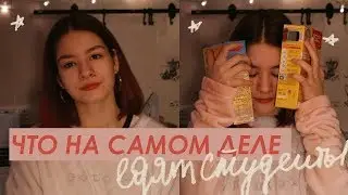 ЕДА СТУДЕНТОВ – мой рацион питания и лайфкахи | Christine