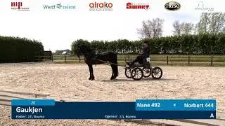 IBOP Wergea | 4 mei 2023