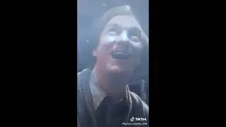 Римус Люпин в тик токе
