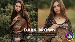 Dark Brown Presets | پریست رنگ لایت روم