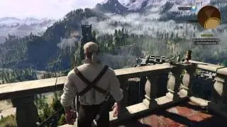 The Witcher 3: Camera Stutter without HDCP on v 1.01