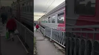 ЭД4М-0361 отправляется с Кушелевка , снимал 