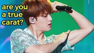 [SEVENTEEN] Carat must have watched this video