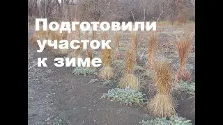 Здесь выращиваю сухоцветы. Приглашаю прогуляться.