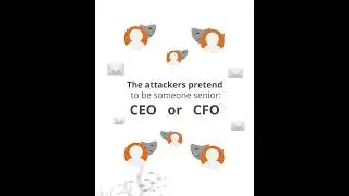 How to avoid losing millions to whaling attacks!!