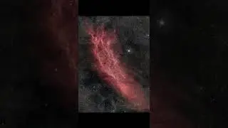 NGC 1499, The California Nebula #shorts