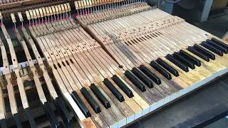 Keytop Replacement | AAA Piano