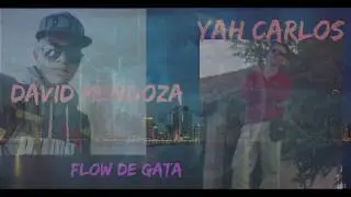 YAH Carlos and David Mend - Flow de Gata ( Audio Oficial)