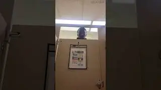 Вы будете в шоке 🤯