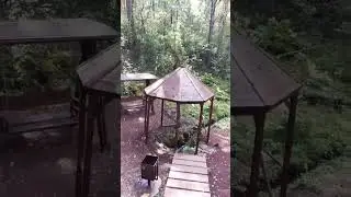 Неожиданная  находка в лесу🔥