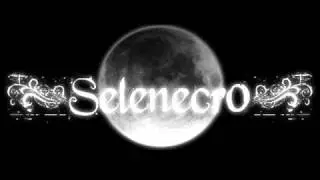 SELENECRO - TIME OF SILENCE