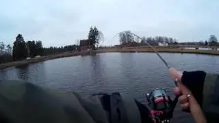 Bellezza 672 BB день второй ловля со шнуром. И поиск колебалок .