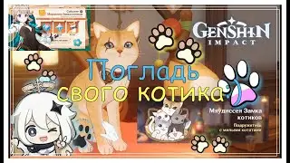 #392: Мяудиссея Замка котиков. Genshin Impact PS5