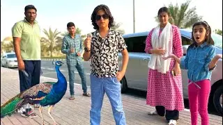 Chaleya || Chor Ko Pad Gaiy Moor || Chota Don Returns 😎 || Short Video