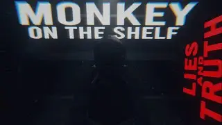 The Truth Behind Monke On The Shelf...