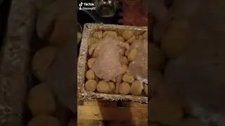 Приготовление курицы в русской печи!