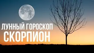 СКОРПИОН ЛУННЫЙ ГОРОСКОП НА НЕДЕЛЮ С 29 ЯНВАРЯ ПО 4 ФЕВРАЛЯ 2024
