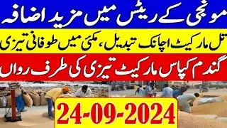 New Munji Rates 2024 | maize rates | Gandum ka rate today | Galla mandi rates || Apna Kisan Pakistan