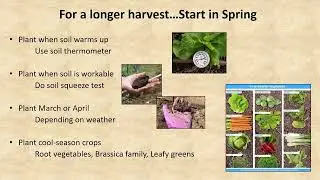 Growing Vegetables Year Round
