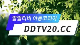 야스 새주소 우회주소