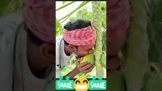 সেই স্বাদ, এতো স্বাদ কেন।