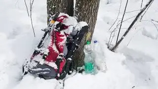 За кленовым соком в 