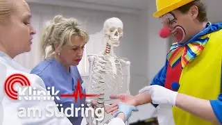 Clown hat nichts zu lachen! Wurde er von einer giftigen Spinne gebissen? | Klinik am Südring | SAT.1
