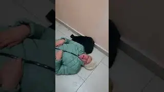 Нам всё за*бись, нам всё нормально