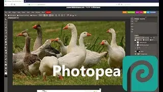 How to use Photopea 2019-2020 (Photoshop Alternative Programme)