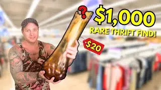 We Just Hit $1,000 Profit on eBay — And Found Our BEST Thrift Flip Yet! 💰