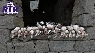 Duck Hunting Hidden Farm Pond - LIMITED OUT!!