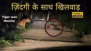 WARNING Call of Sambar Deer - वो रोड पर लेटा था और 100 मीटर दूर हो रही थी Distress Call #tiger
