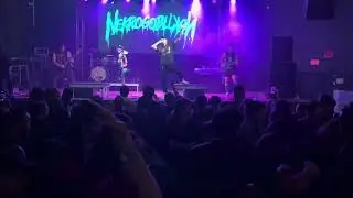Dressed As Goblins - Nekrogoblikon Live Concert 2024 Hartford