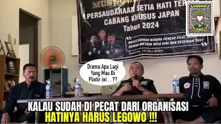 Pak Taufiq M3n94du D*mb4 Warga Psht Seluruh Dunia, Psht Pusat Madiun LoSHt Gak Rewel🤘🏻