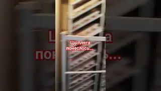 12 мая 2024 г.