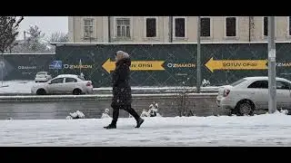 #snow #relaxingmusic #music Biroz dam olish vaqti. время немного отдохнуть. break time.