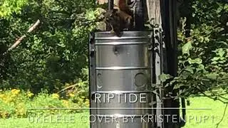 Riptide | Ukelele Cover