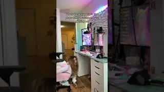 TIKTOK Ding Dong Dessyyc