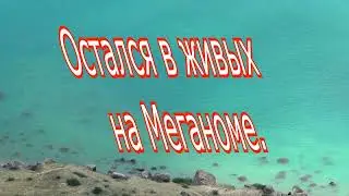 Остался в живых на Меганоме.