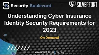 Understanding Cyber Insurance Identity Security Requirements for 2023
