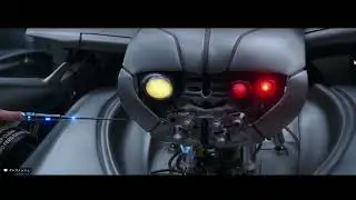 Terminator Disaster