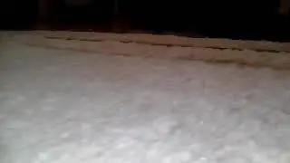 КОРОЧЕ ГОВОРЯ ДЕНЬ ГЛАЗАМИ КОТА