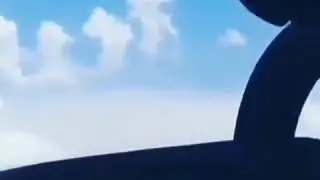 Алох